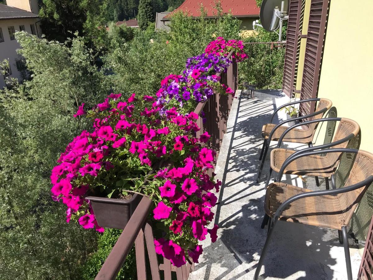 Haus Heincz Apartment